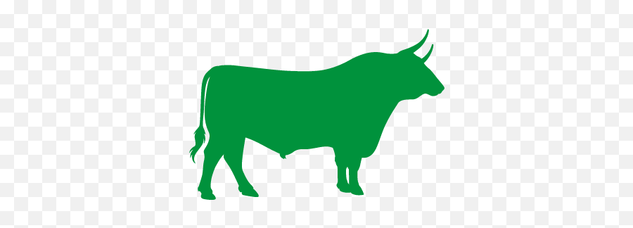 Spadola E Figli - Products Cow Calf Vector Png,Toro Icon