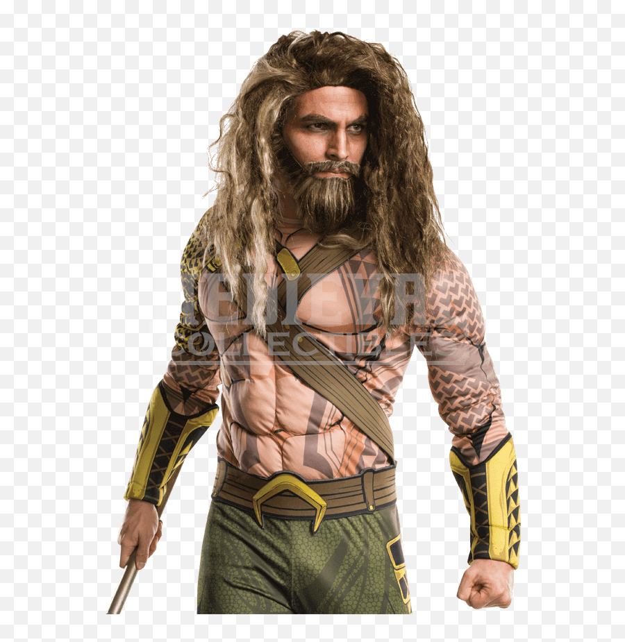 Download Hd Adult Aquaman Beard And Wig Set - Aquaman Costume Aquaman Png,Aquaman Png