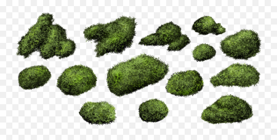 Free Moss Png - Bryophyte Png,Moss Png