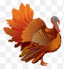Turkey Clipart Png