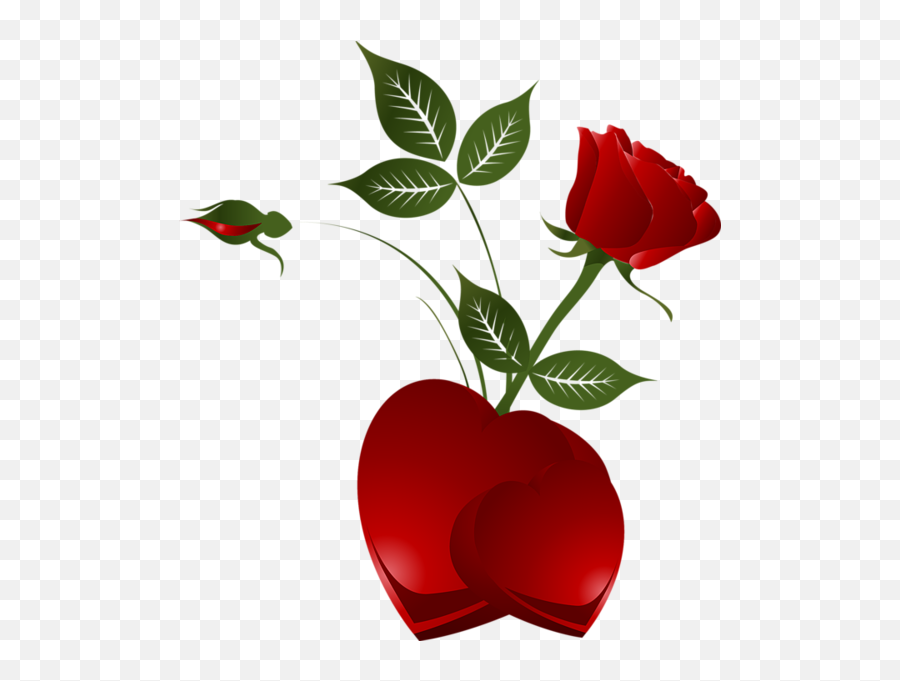 Rose Heart Png Clipart Picture - Red Rose With Heart,Rose Heart Png