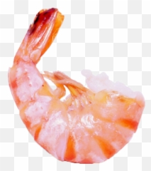 Shrimps Png Icon - Little Shrimp,Shrimp Png