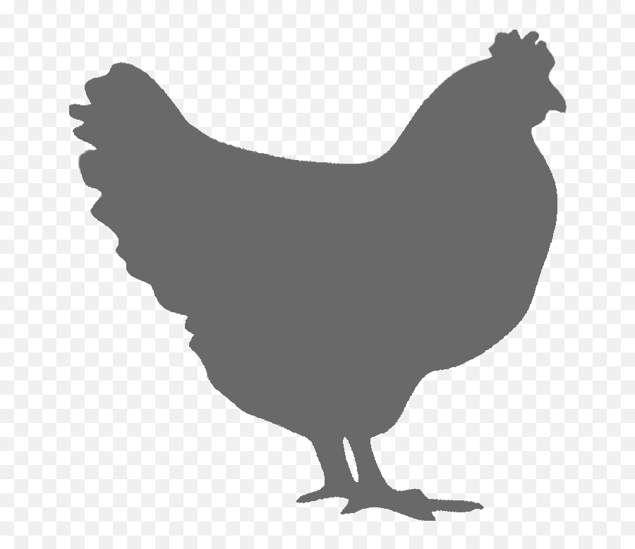 Roast Chicken Fried Rooster Image - Chicken Png Chicken Silhouette Transparent,Fried Chicken Png