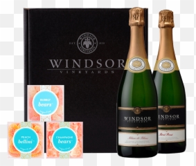 Windsor Vineyards Champagne Cheers 2 - Bottle Collection wBlack Box png