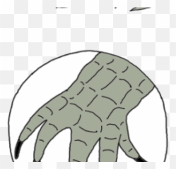 Download Hd Claws Clipart Aligator - Clip Art Png,Aligator Png
