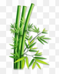 Png Images Transparent Background - Panda Wall Drawing With Bamboo