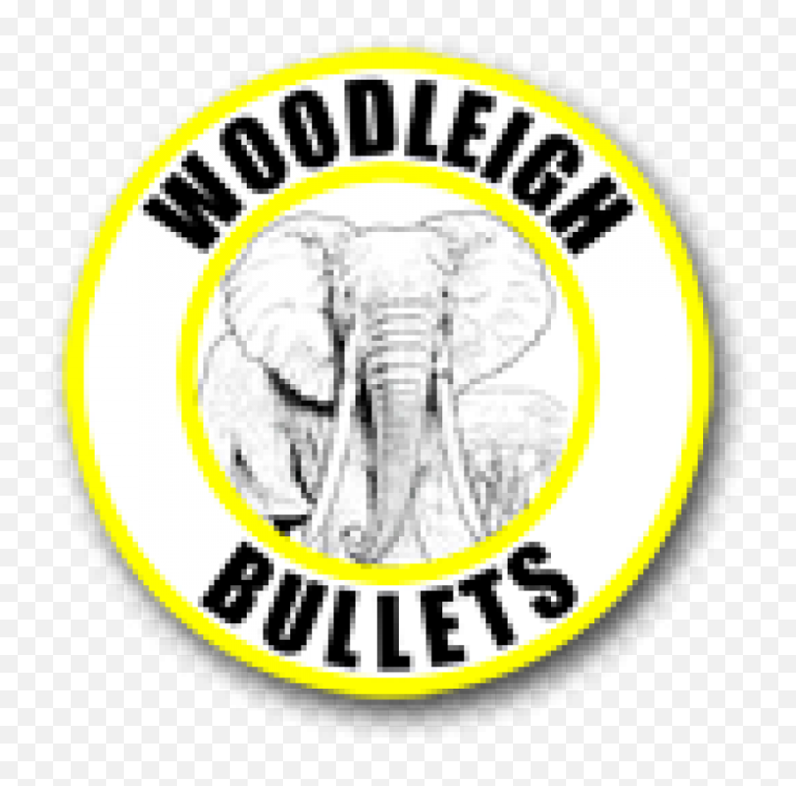 Woodleigh 33 Win - Woodleigh Bullets Png,Fn Logo