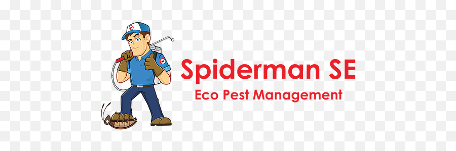 Eco - Information Age Png,Spiderman Logo Images