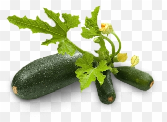 Download Zucchini Png Image With No - Zucchini,Zucchini Png