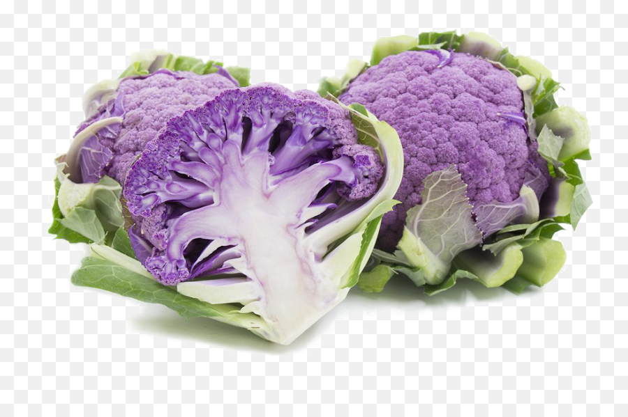Cauliflower Png Hd Quality - Cauliflower Di Sicilia Violetto,Cauliflower Png