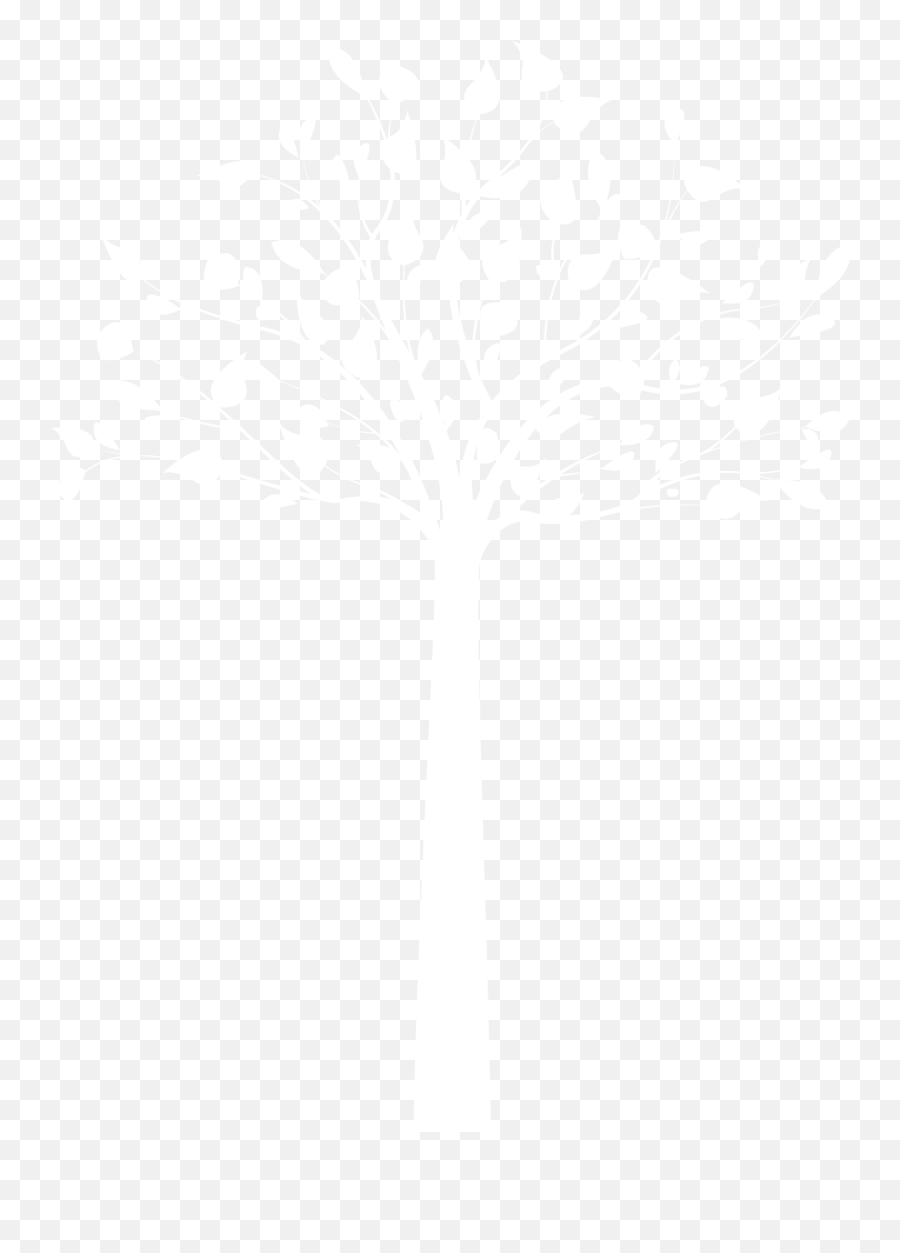 Tree - 8 X 10 Inch Frame Png,White Tree Png