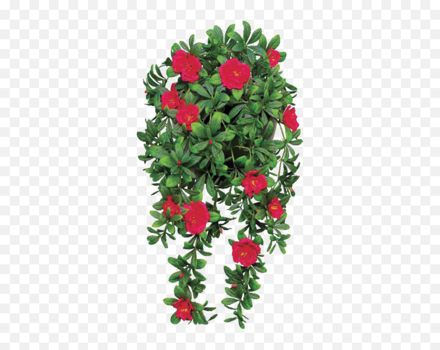 Png File Flower 5 Image - Hanging Plants With Red Flowers,Hanging Plants Png