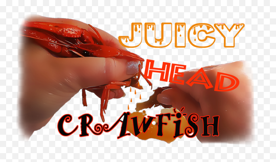 Juicy Head Crawfish Pre - Orders Png,Crawfish Png