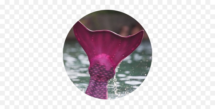 About Mermaidinc - Girly Png,Mermaid Tail Transparent