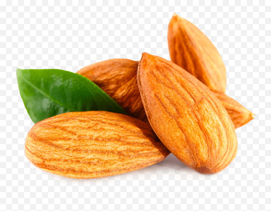 Pure Almond Oil - Almond Hd Images Download Png,Almond Png