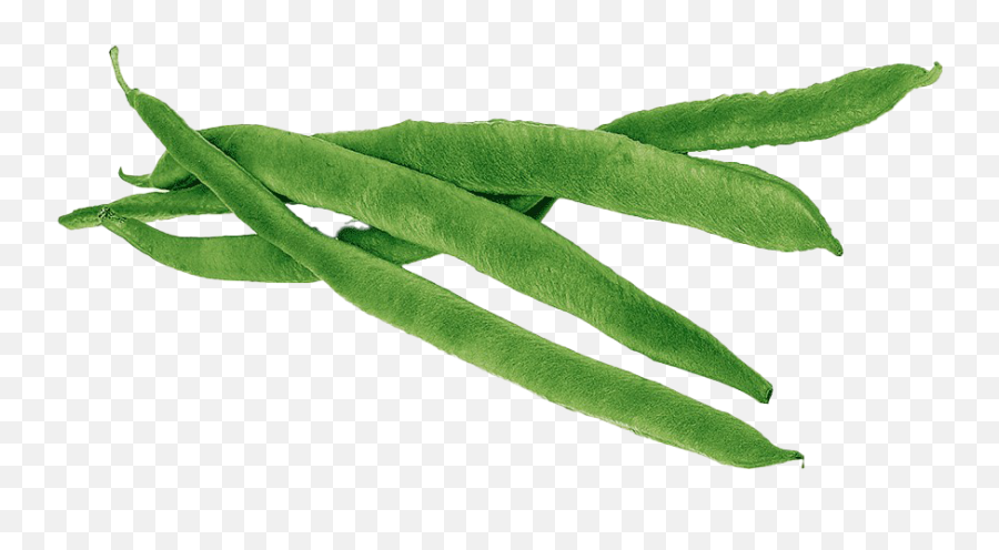 Green Beans Png High Quality Image - Runner Beans Png,Beans Png