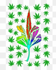 Trippy Green - Frankly Wearing Marihuana Scan Png,Trippy Png