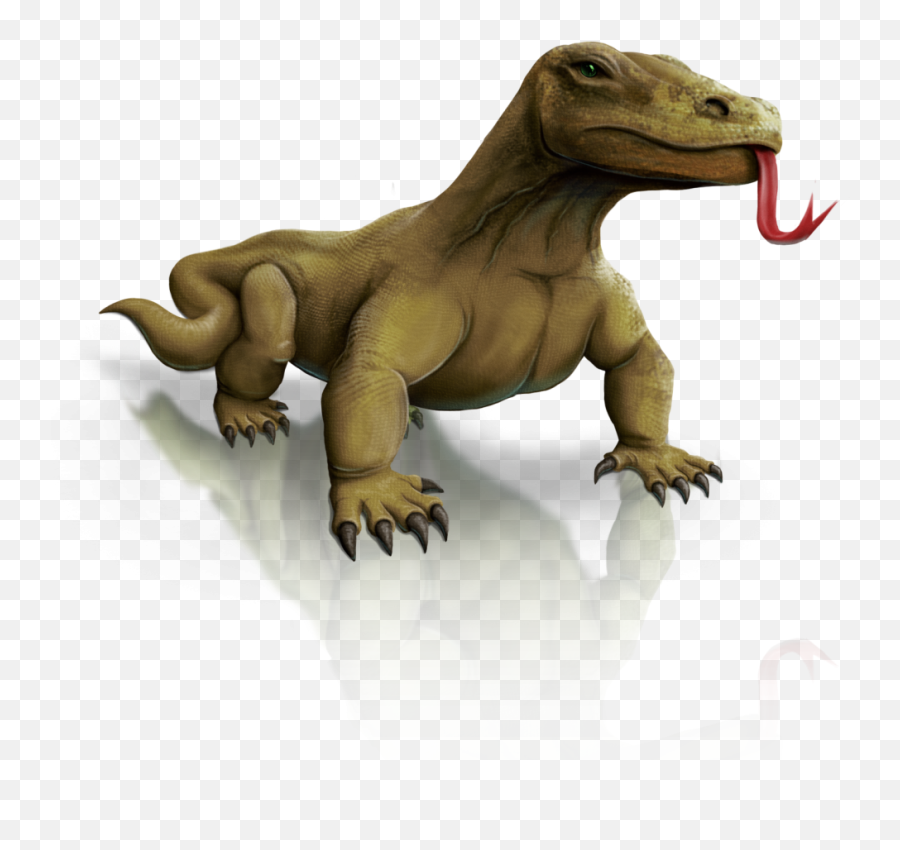 Komodo Dragon Png Transparent Images 16 - 1014 X 1024 Komodo Dragon Clip Art,Dragon Transparent