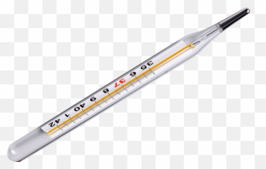 Thermometer Png - Transparent