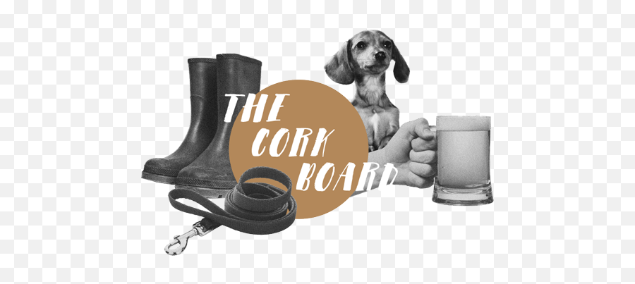 The Cork Board - The Queenu0027s Head Dachshund Png,Cork Board Png