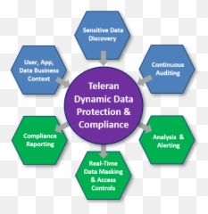 Oracle Cloud Data Protection Teleran Software - Role Of Pharmacist In Covid 19 Pandemic png