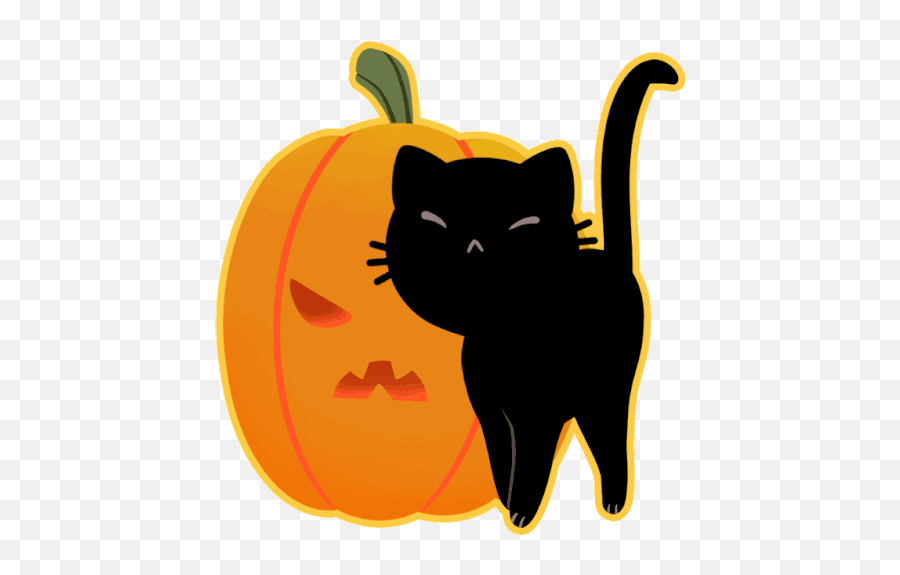 Cat Halloween Sticker - Cat Halloween Kitty Discover Halloween Cat Png Gif,Halloween Cat Icon