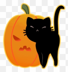 Cat Halloween Sticker - Kitty Discover Png Gif