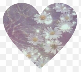 Daisy Png Tumblr - Cute Cool Vibe Mood Tumblr Flowers In Water Aesthetic,Daisy Png