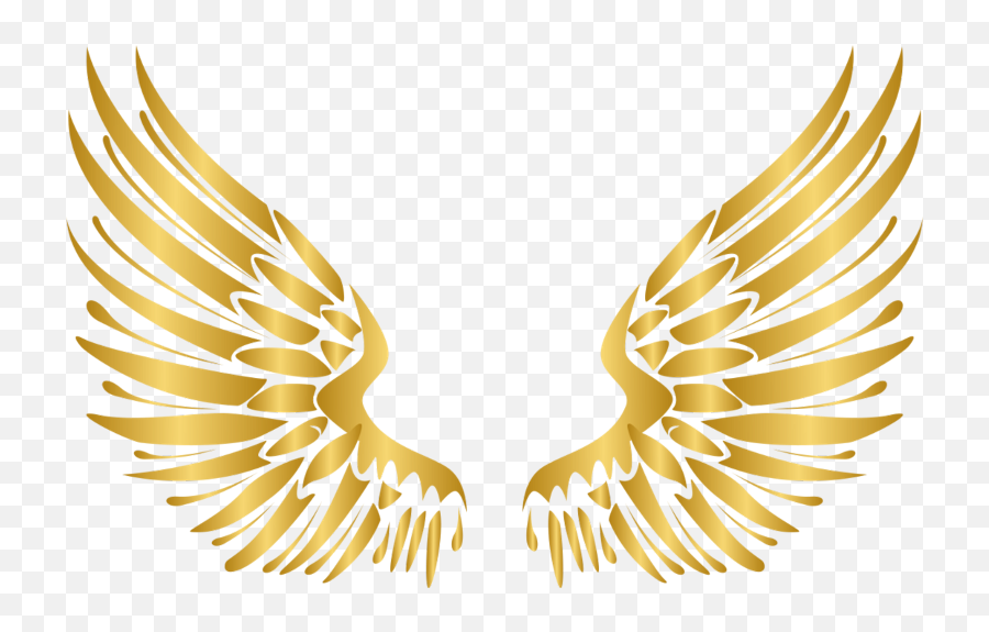 Download Wings Gold Wing Angel Angels - Gold Angel Wings Png,Gold Wings Png
