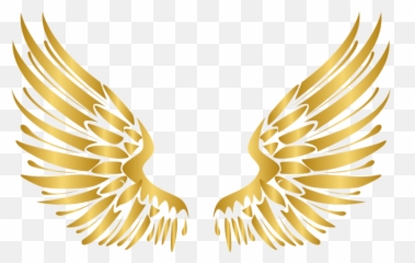 Free Transparent Gold Wings Png Images Page 1 Pngaaa Com - golden bee wings roblox