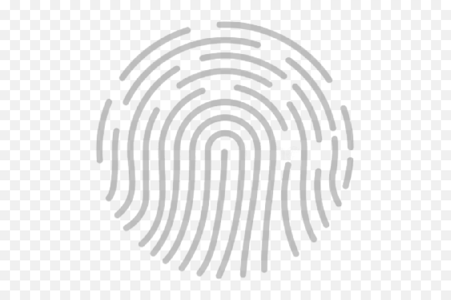 Futurepay 21 The Future Of Digital Payment - Fingerprint Png,Touch Id Icon Vector
