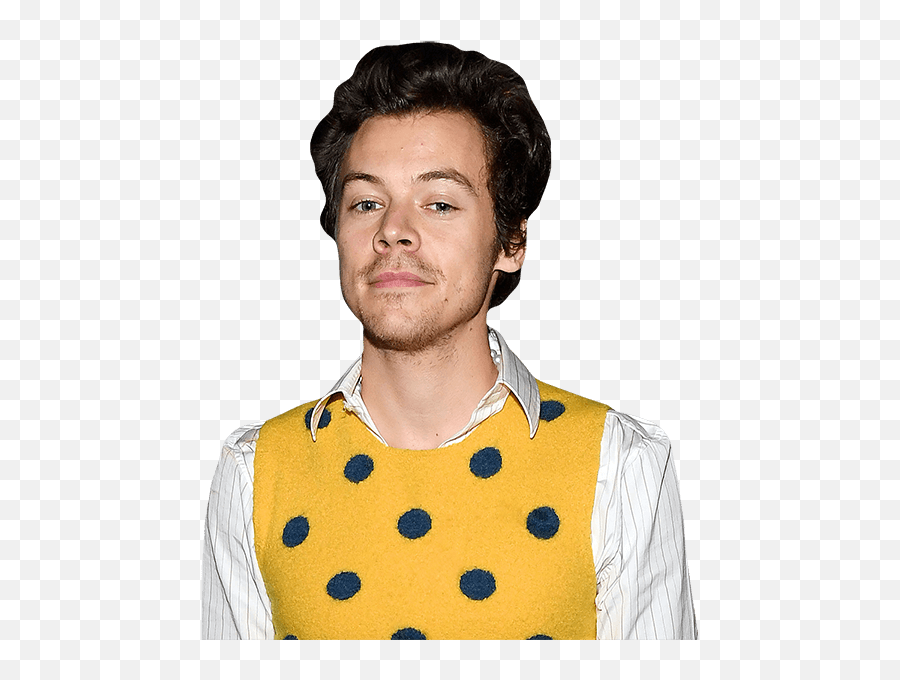 Harry Styles Yellow Top Buddy - Harry Styles Cutout Life Size Png,Harry Icon