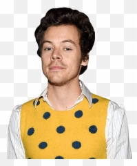 Harry Styles Yellow Top Buddy - Cutout Life Size png
