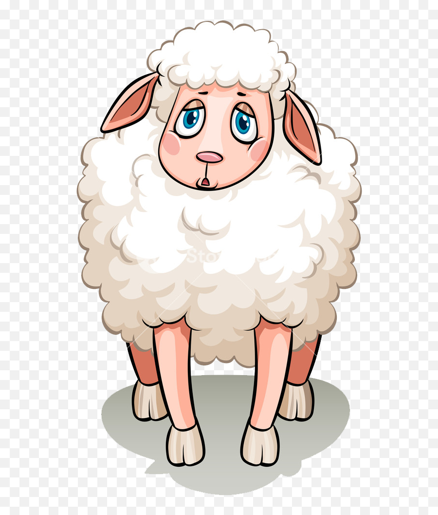 Sheep Png Photo Background