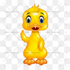 Duck Goose Swan Bird Png Image With Cartoon