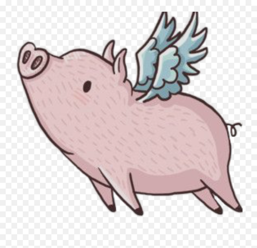 Download Free Png Collection Of Pig Transparent Wing - Cartoon Pig With Wings,Pig Transparent