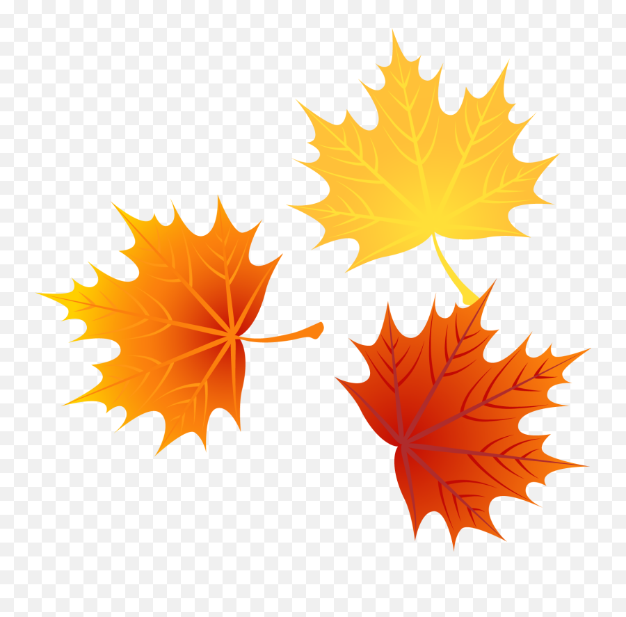 Download Autumn Euclidean Leaves Vector Leaf Png Image High - Autumn Leaf Vector Png,Leaves Clipart Png