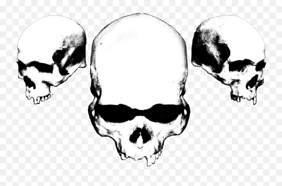 Free Png Skull Download Clip Art - Black And White Skulls,Skull Png