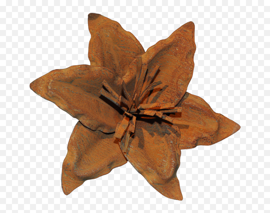 Rust Lily Flower U2013 Watson And Co - Clematis Png,Lily Flower Png