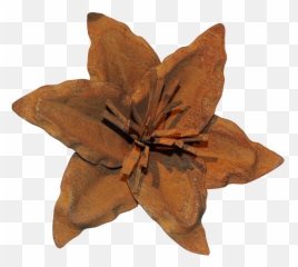 Rust Lily Flower U2013 Watson And Co - Clematis png