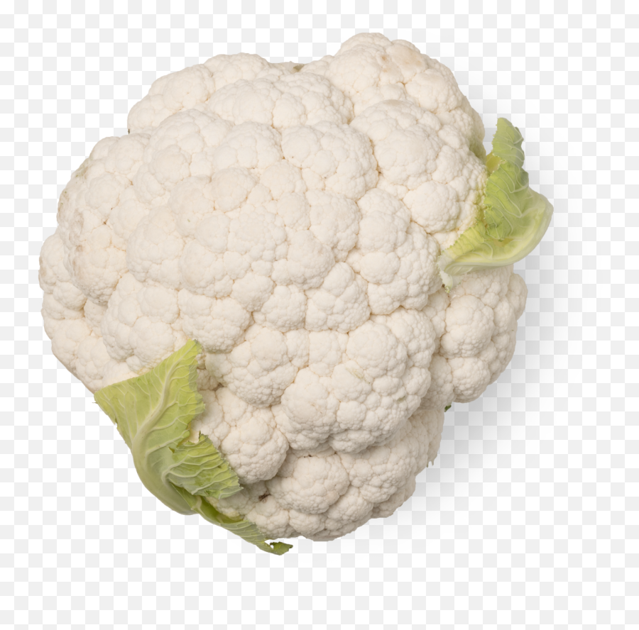 Data Sheet - Cauliflower Png,Cauliflower Png