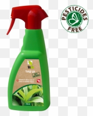 Fungi Go - Vebi Export Vebi Fungicida Garden Pfnpo Da 1 Lt Ad Ampio Spettro Per Piante Ornamen Png,Fungi Png