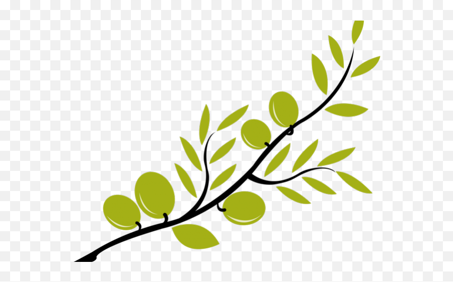 Branch Clipart Olive - Olive Branches Vector Png,Branches Png