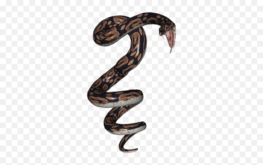 Snake Python - Snake 3d Model Png,Snake Png