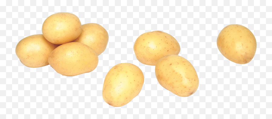 Potato Png Images - Russet Burbank Potato,Potato Transparent Background