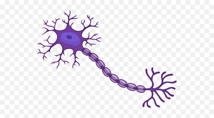 Download Neuron Png Image With No - Transparent Neuron Png,Neuron Png