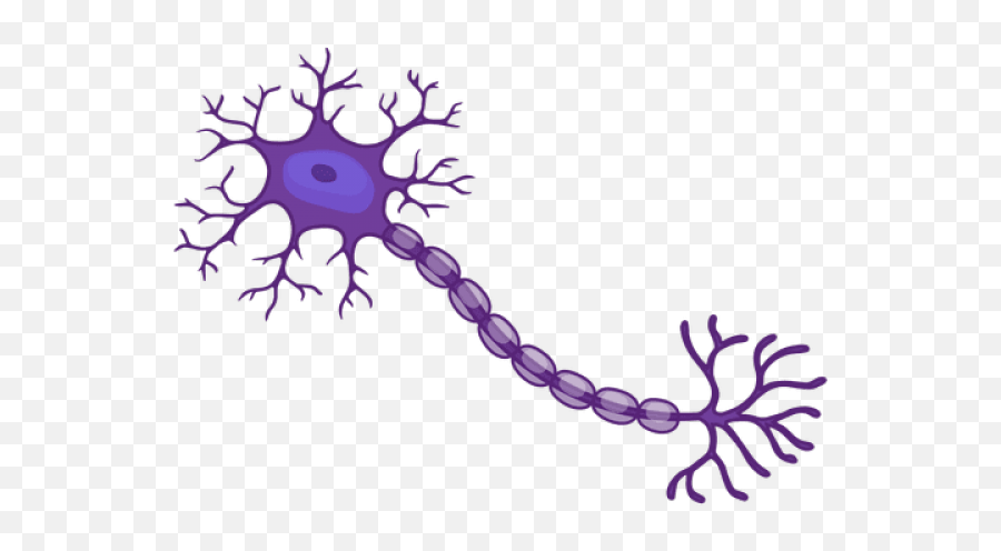 Рисунки нервной. Нервные клетки мультяшный. Нейрон. Нервные клетки на белом фоне. Нейроны вектор.