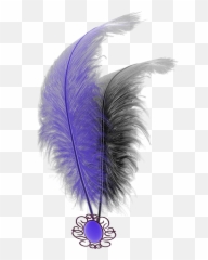 Mq Purple Black Feathers Feather - Purple Feather Transparent Png,Black Feather Png