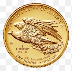 Gold Coins Png Image - Price In Usa