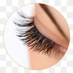 Fake Lashes Transparent Png Clipart - Eyelash